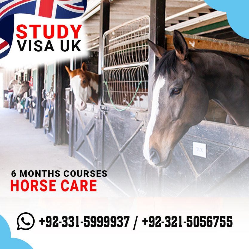 images/study-visa-uk-certificate-in-horse-care-6-months-c-in-pakistan-109.jpg